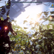 Illustration for article titled For A Brief Period, Anthem's Loot System Was Much Better--Then BioWare Fixed A Bug